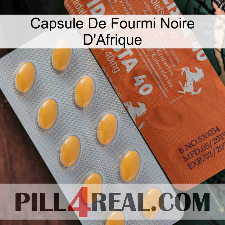 Africa Black Ant Capsule 43